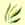 Autism Treatment neuro Acupuncture and Herbal Medicine